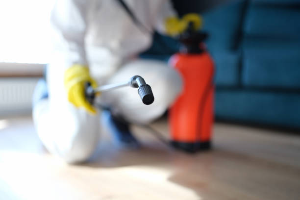 Professional Mold Inspection, Removal & Remediation in Erie, IL