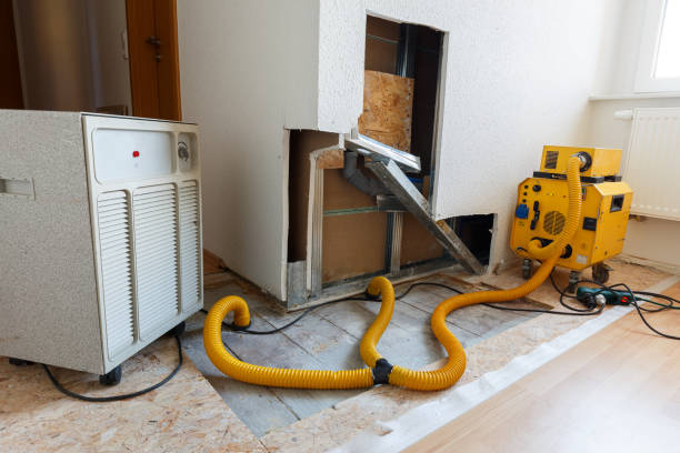 Mold Remediation for Vacation Homes in Erie, IL